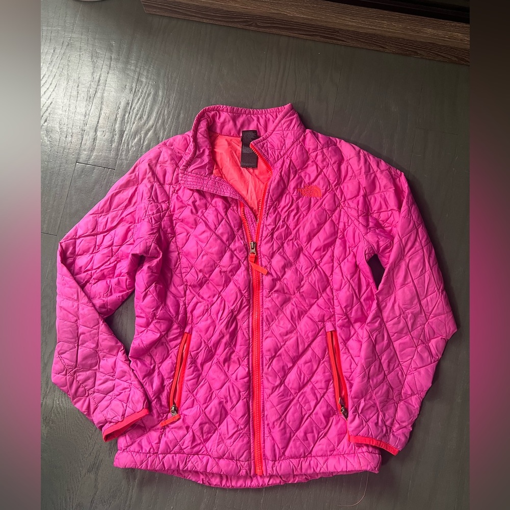 The north face jacket